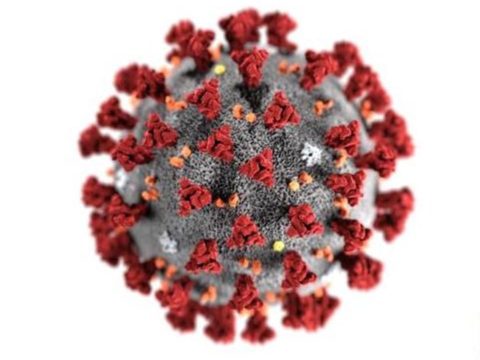 Social bubbles, Covid 19 and my mental health. Covid 19 virus