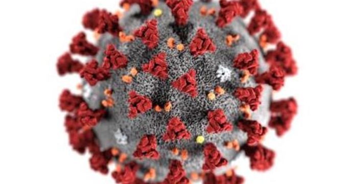 Covid 19 virus