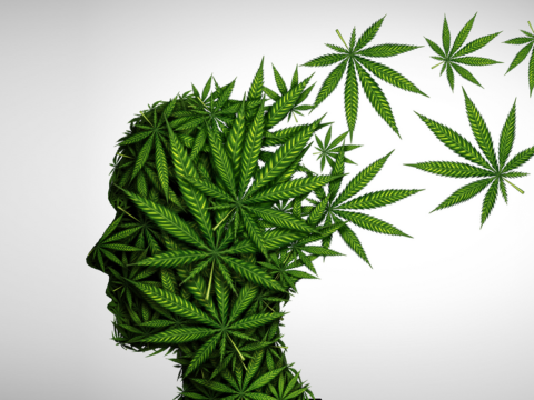 Pros and Cons of using Cannabis in mental health