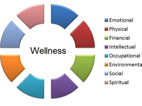 You’re not broken! Wellness Wheel Mental health